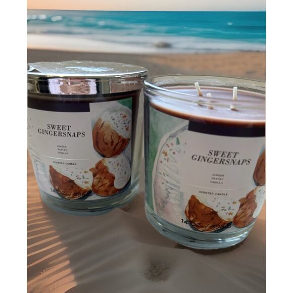 3-Wick Candles (2) new Pumpkin Gingersnaps Vanilla 14oz Great Gift Scented - Picture 1 of 6